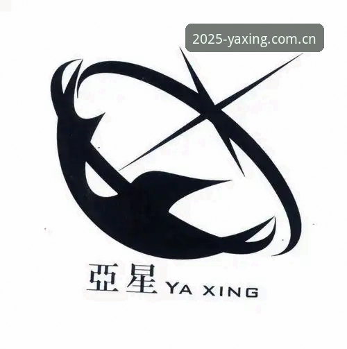 YAXING亚星官方APP下载深度评测：2025独创版33UM的兼容性与数据同步表现